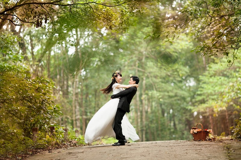 Enchanted Forest Theme